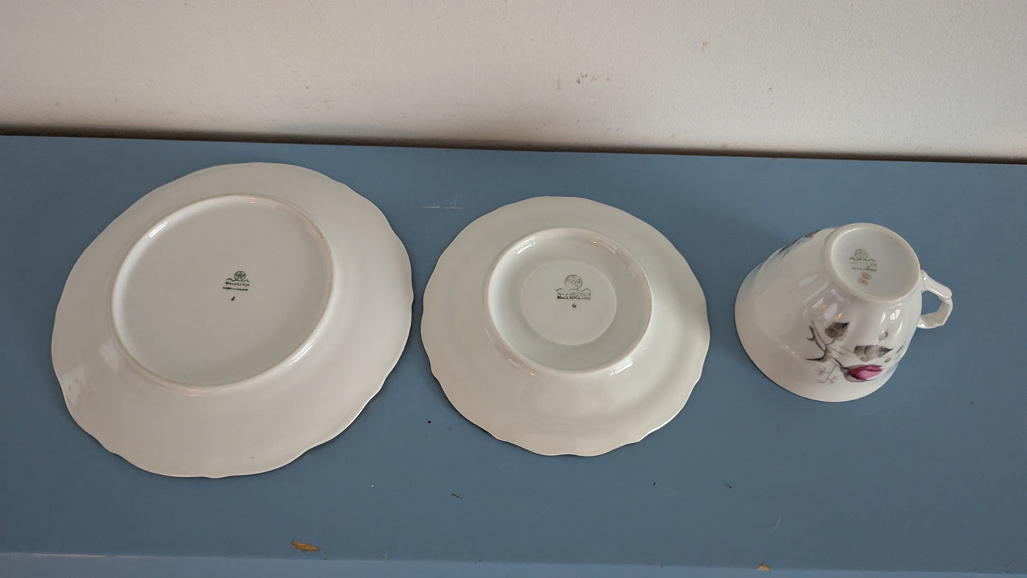 Wałbrzych - Ruusukuvioinen Kahviastiasto 10-hengelle (34-osainen)