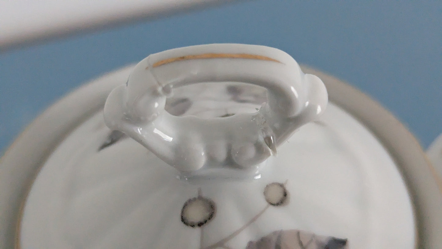 Wałbrzych - Ruusukuvioinen Kahviastiasto 10-hengelle (34-osainen)