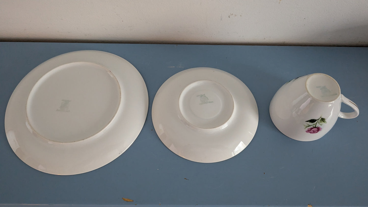 Nova Role - Ruusukuvioinen Kahviastiasto Kymmenelle Hengelle (32-osaa)