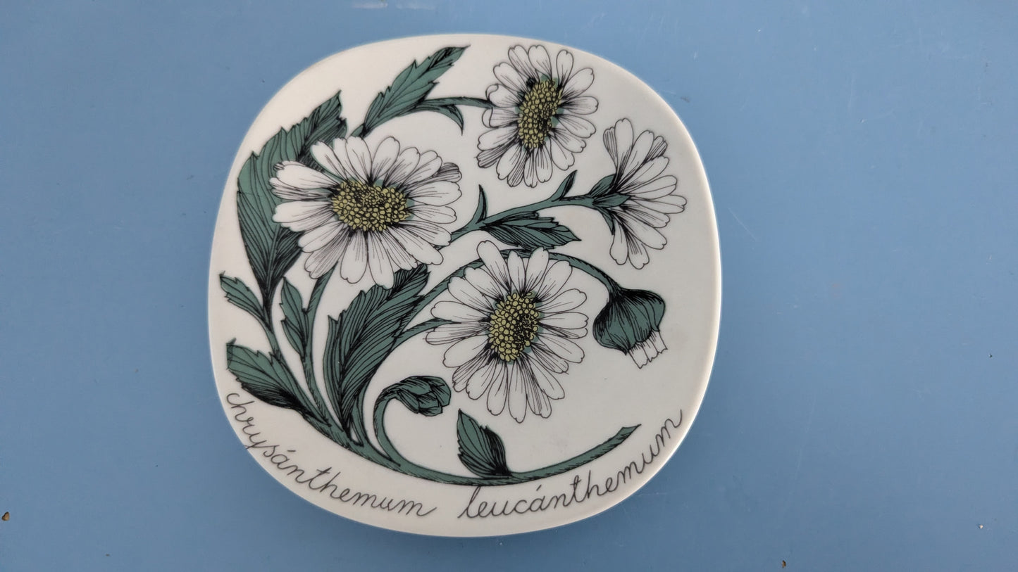 Arabia Chrysanthemum Leucanthemum Seinälautanen (1982-1983, Esteri Tomula)