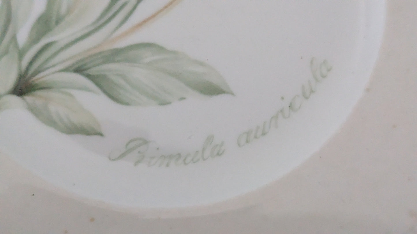 Villeroy & Boch - Florea Floris Leipälautanen / Leivoslautanen (2kpl, 2002-2008)