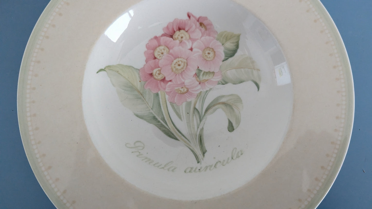 Villeroy & Boch - Florea Floris Keittolautanen (2002-2008)