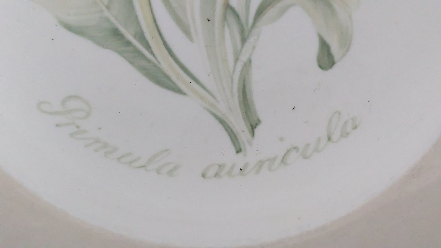 Villeroy & Boch - Florea Floris Keittolautanen (2002-2008)