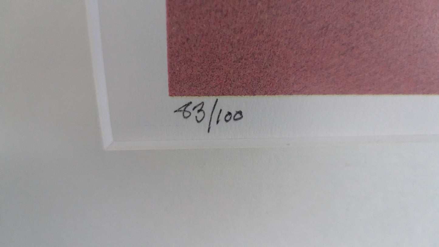 Juha Soisalo - Signeerattu ja Numeroitu 83/100 Grafiikka (1999)