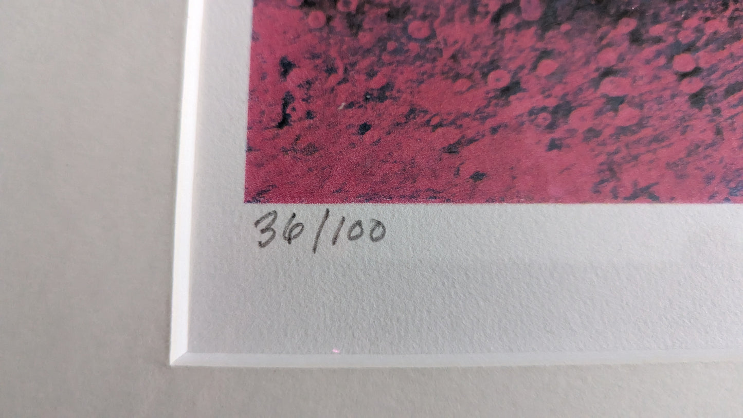 Juha Soisalo - Signeerattu ja Numeroitu 36/100 Grafiikka (2008)