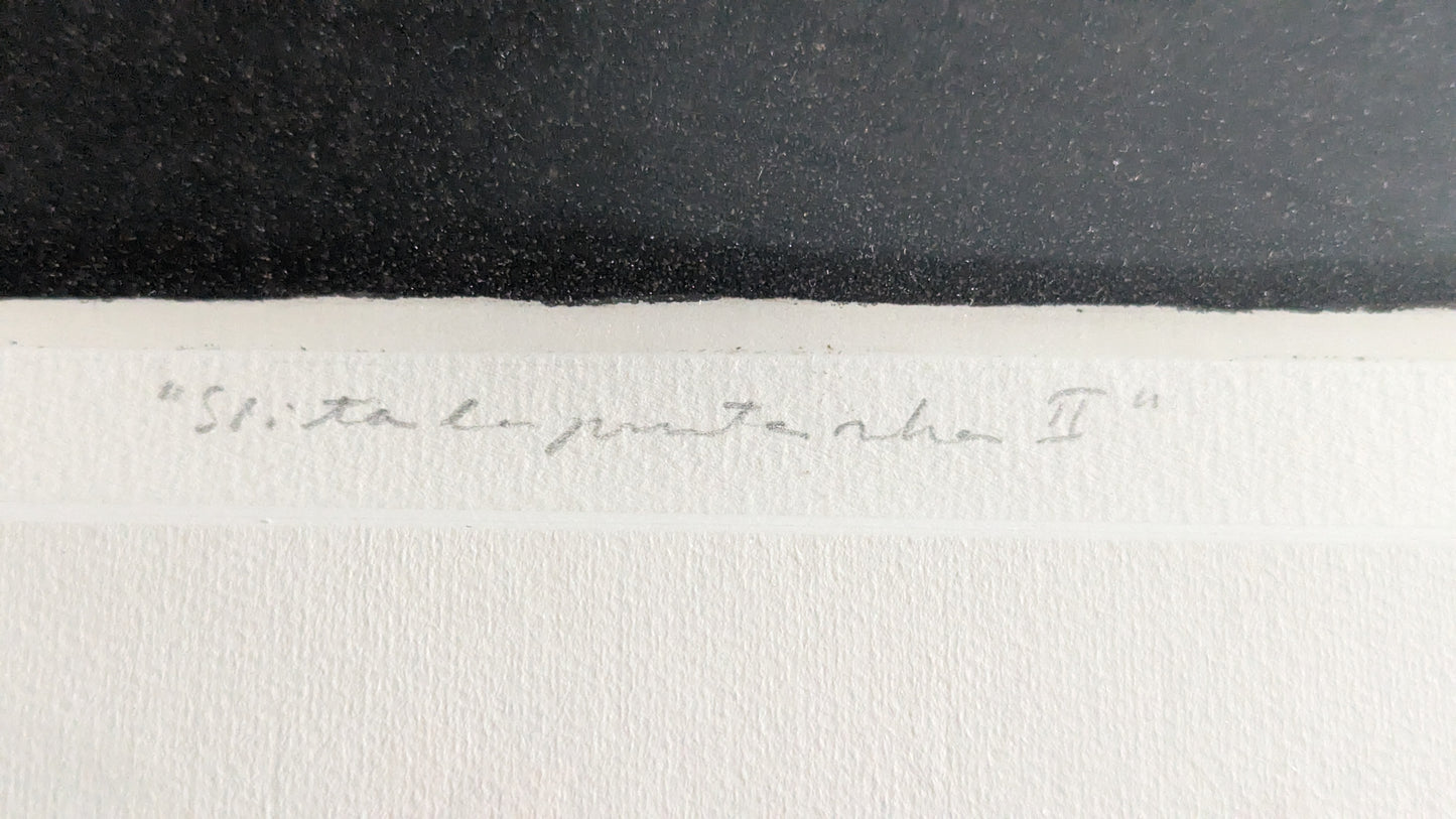 Tuula Lehtinen - Siirtolapuutarha II (Signeerattu Etsaus 1984)