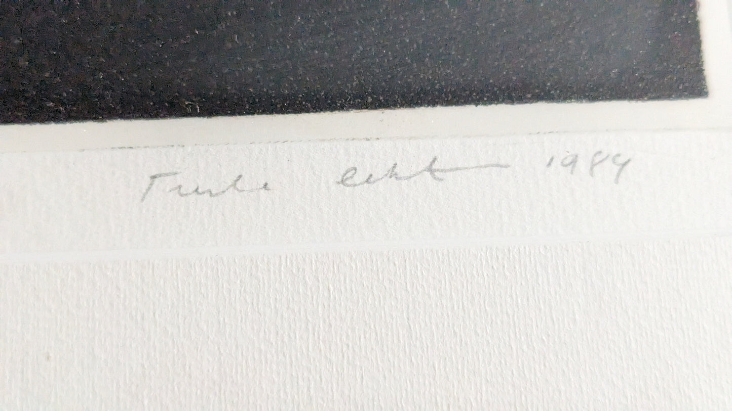 Tuula Lehtinen - Siirtolapuutarha II (Signeerattu Etsaus 1984)