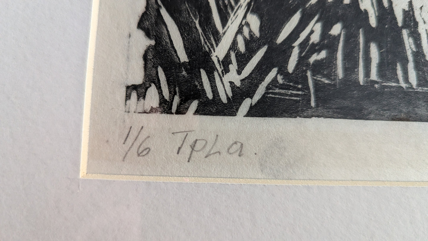 Helmi Nurmi - Signeerattu Puupiirros (1981)