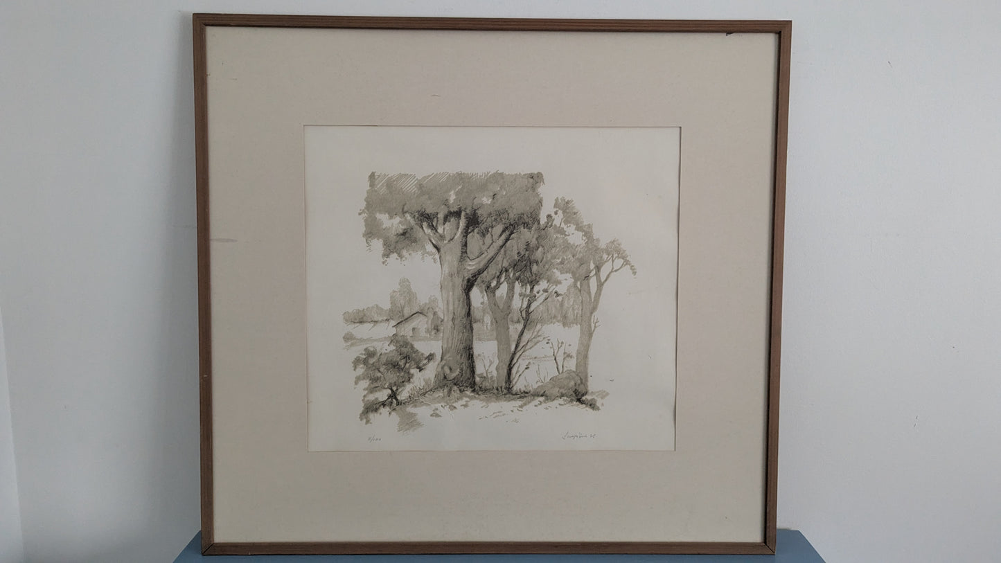 Antti Lampisuo - Signeerattu ja Numeroitu Grafiikka (1975)