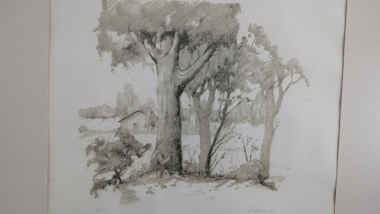 Antti Lampisuo - Signeerattu ja Numeroitu Grafiikka (1975)