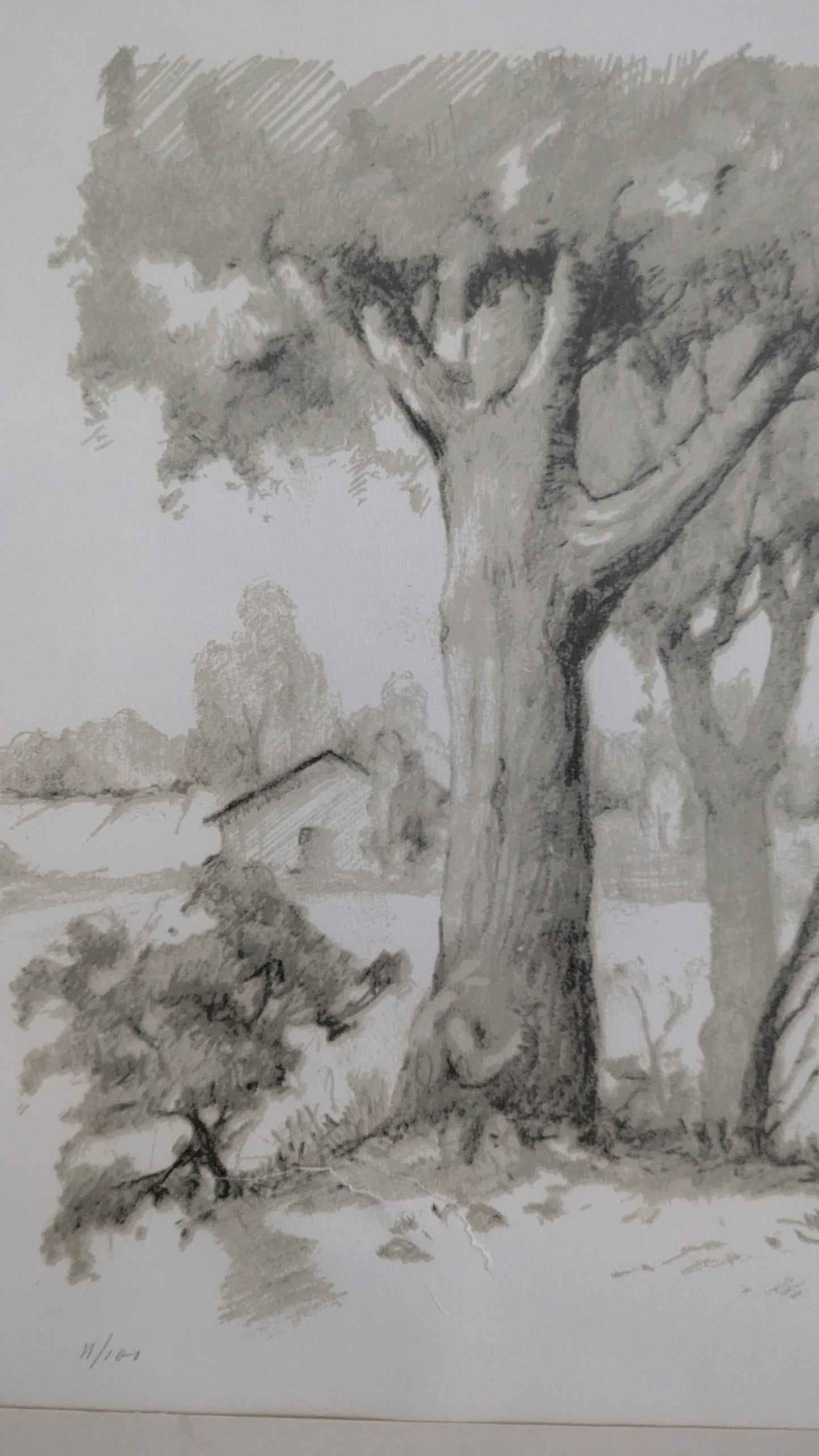 Antti Lampisuo - Signeerattu ja Numeroitu Grafiikka (1975)