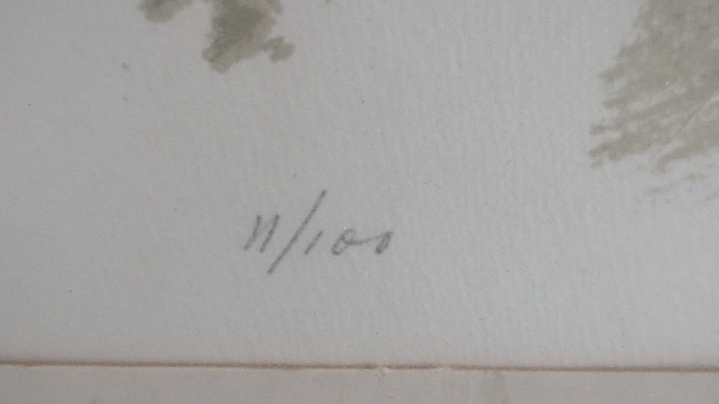 Antti Lampisuo - Signeerattu ja Numeroitu Grafiikka (1975)