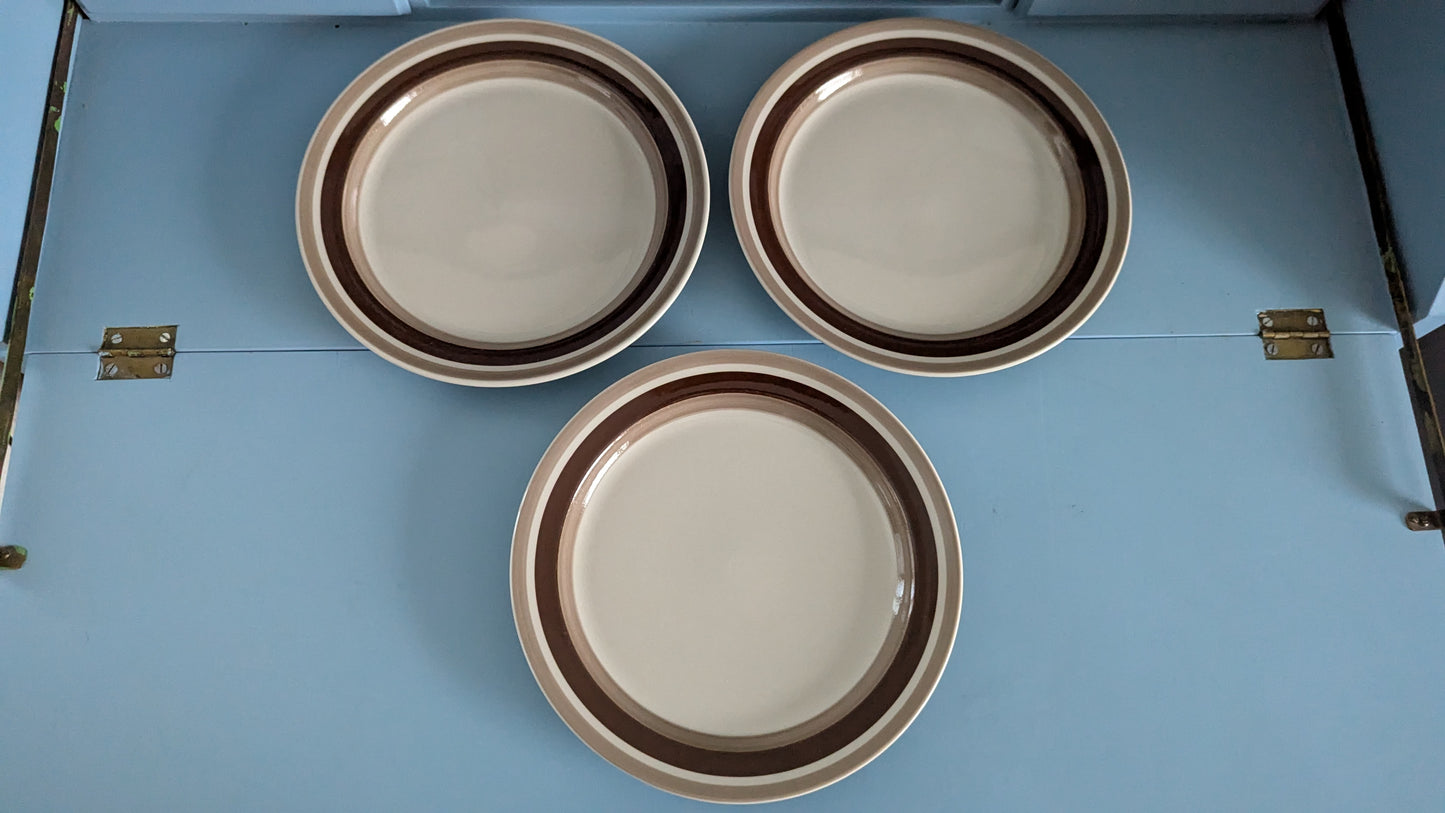 Arabia Pirtti Ruokalautanen (3kpl, 1971-1986, Raija Uosikkinen)