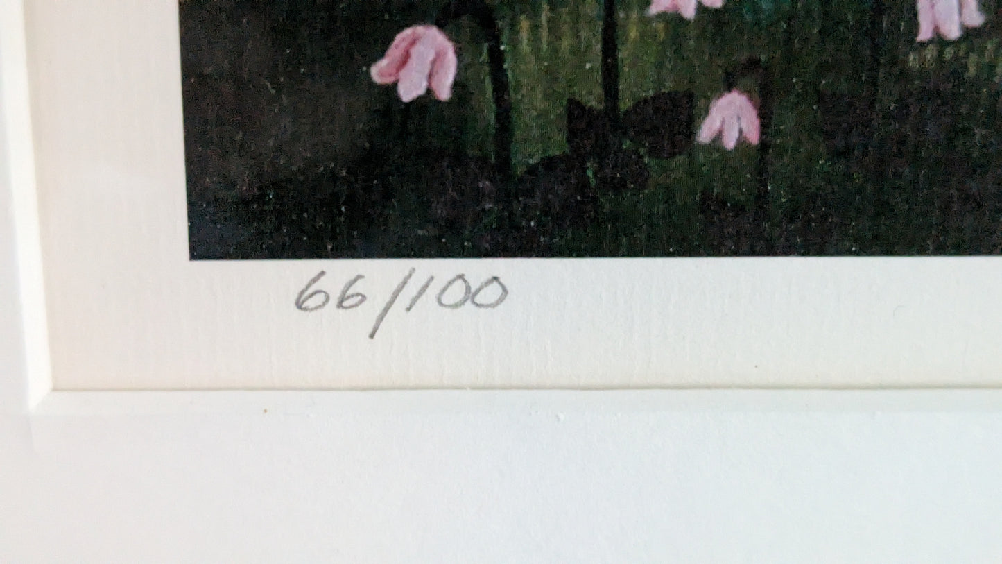 Anita Backlund - Neidon Uni (Signeerattu Grafiikka)