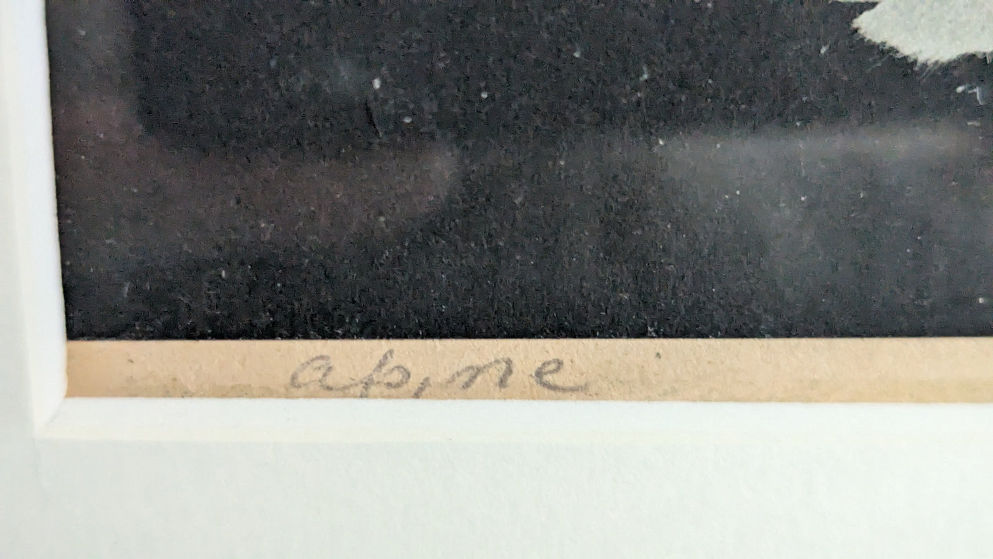 Venny Soldan-Brofeldt - Signeerattu ja Leimattu Kollaasi