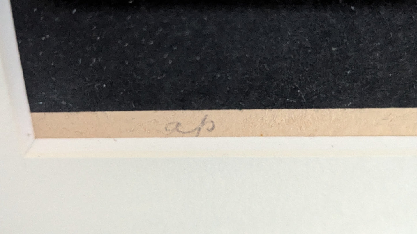 Venny Soldan-Brofeldt - Signeerattu ja Leimattu Kollaasi