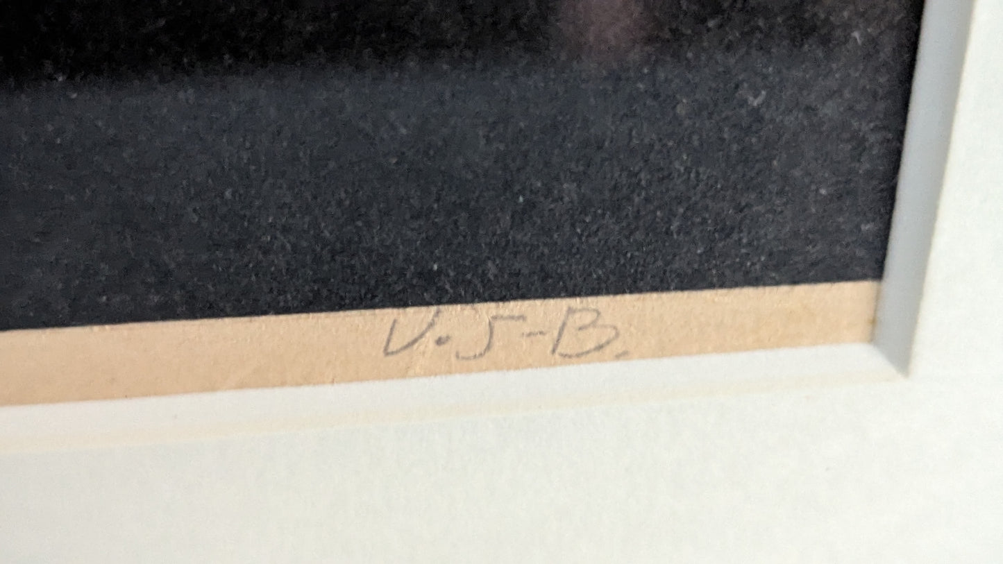 Venny Soldan-Brofeldt - Signeerattu ja Leimattu Kollaasi