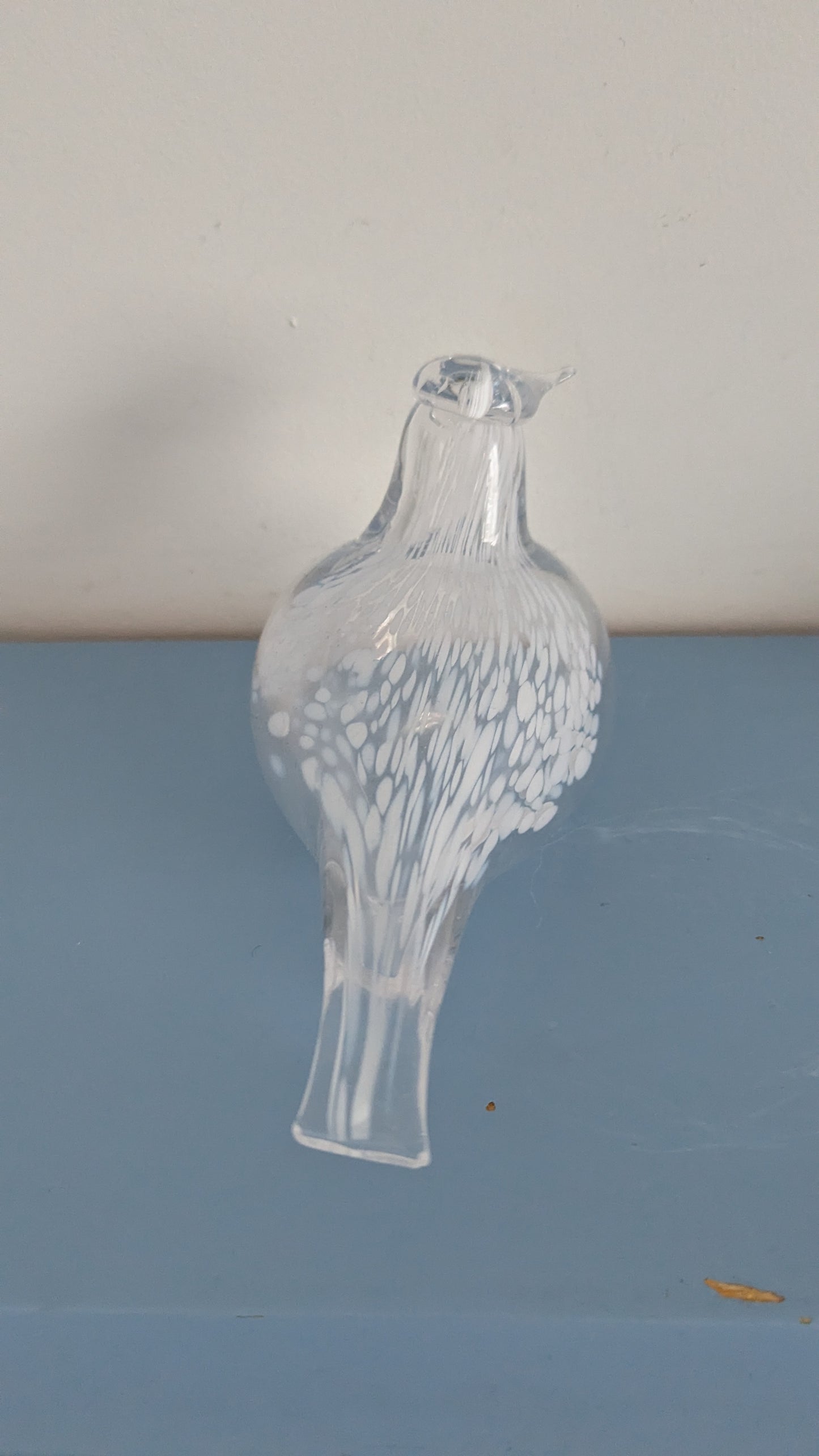 Muurla - Tilhi Lasilintu