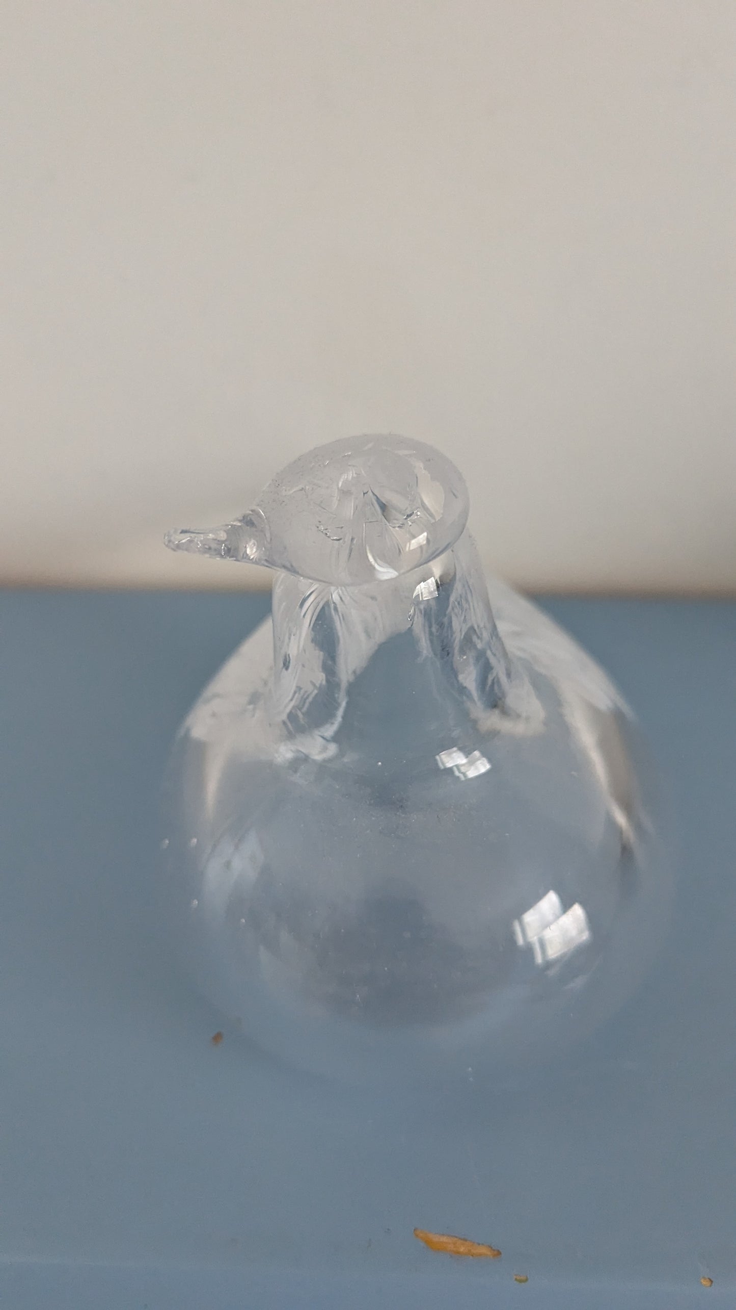 Muurla - Tilhi Lasilintu