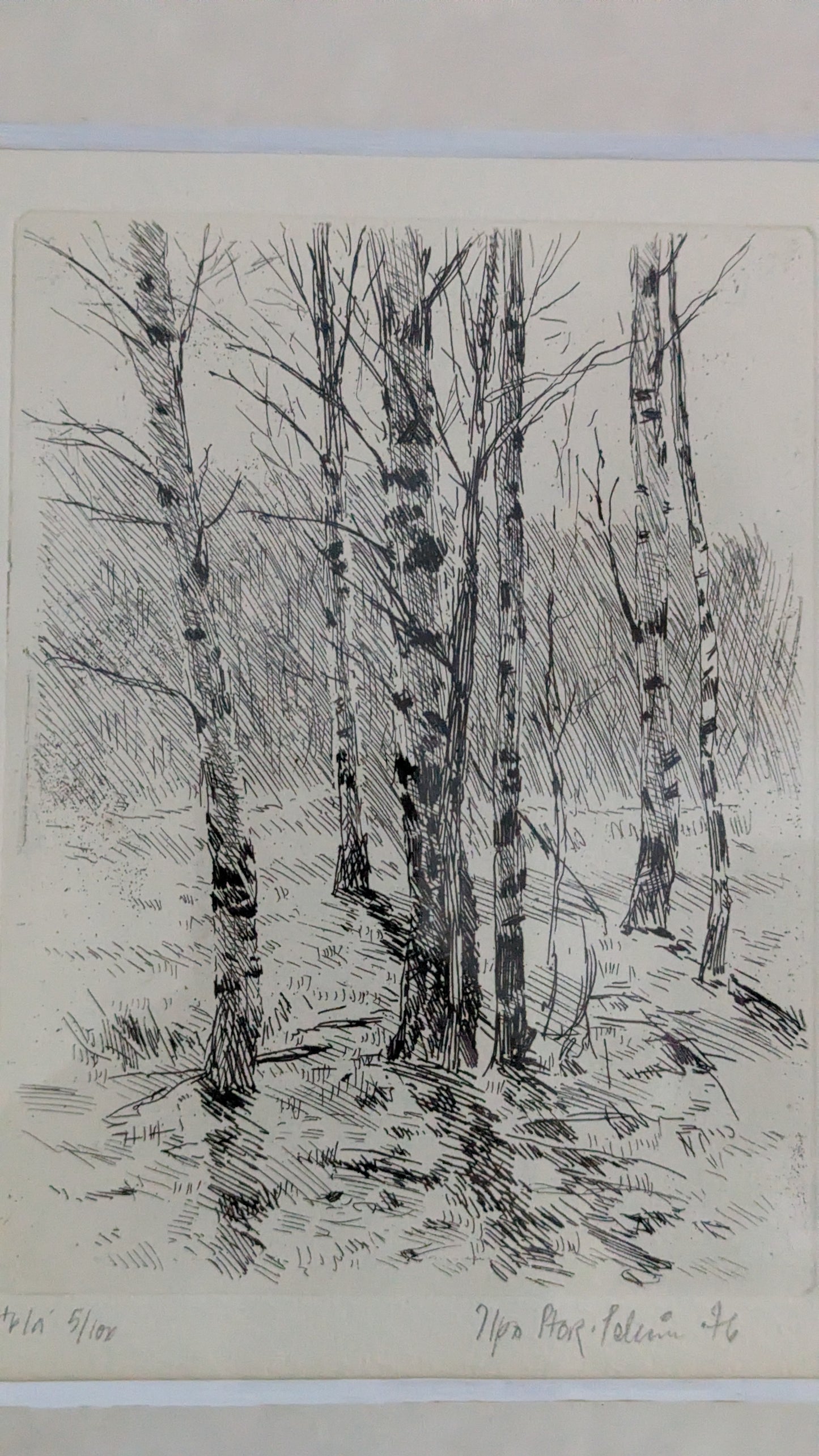 Ilpo Stor-Pellinen - Koivikko (Signeerattu Etsaus 1976)