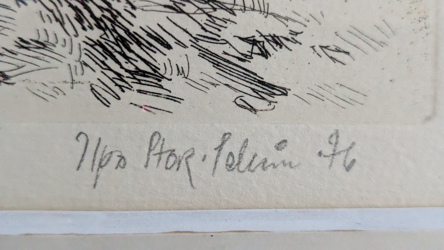Ilpo Stor-Pellinen - Koivikko (Signeerattu Etsaus 1976)