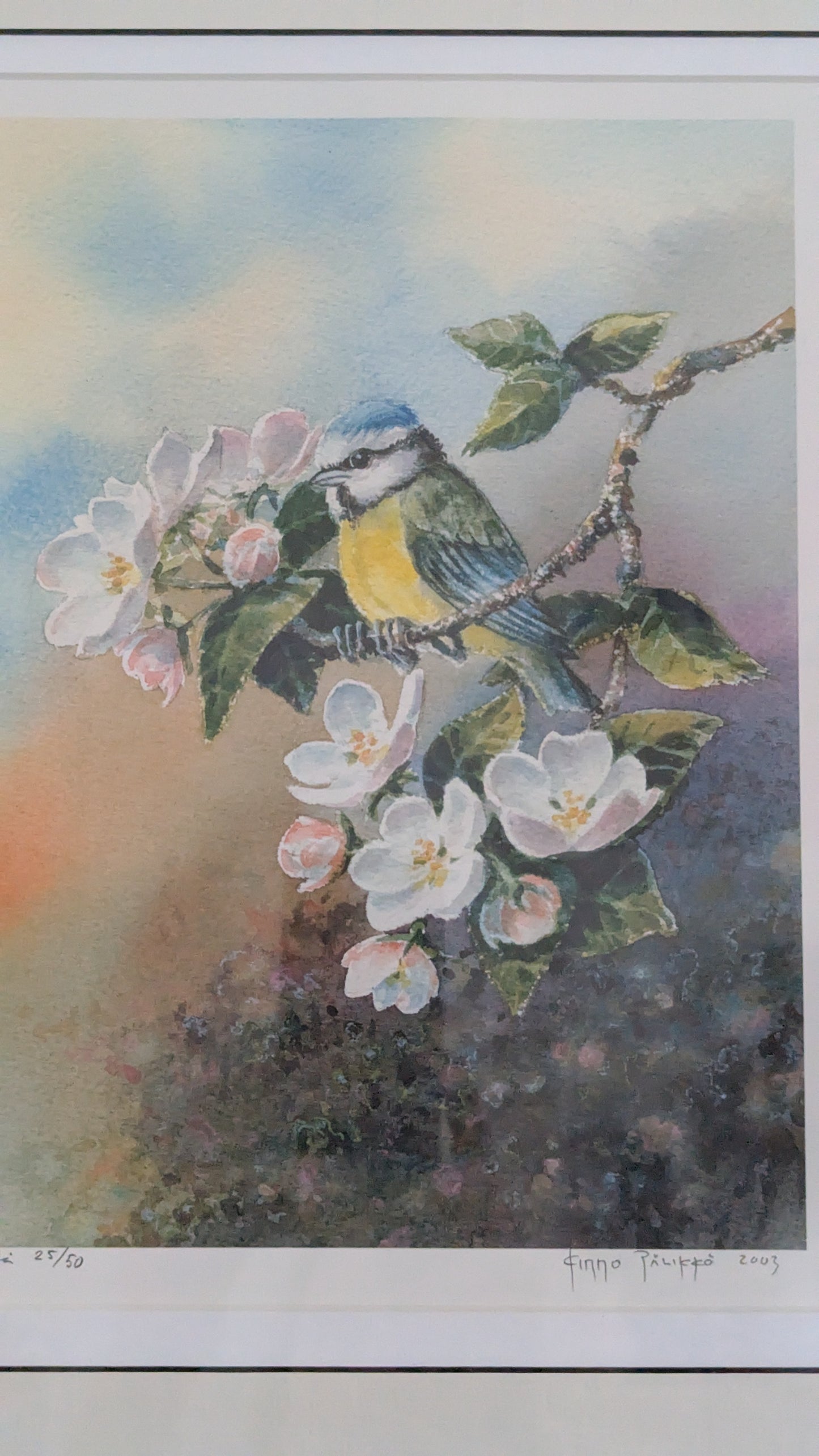 Kimmo Pälikkö - Signeerattu Grafiikka (2003)