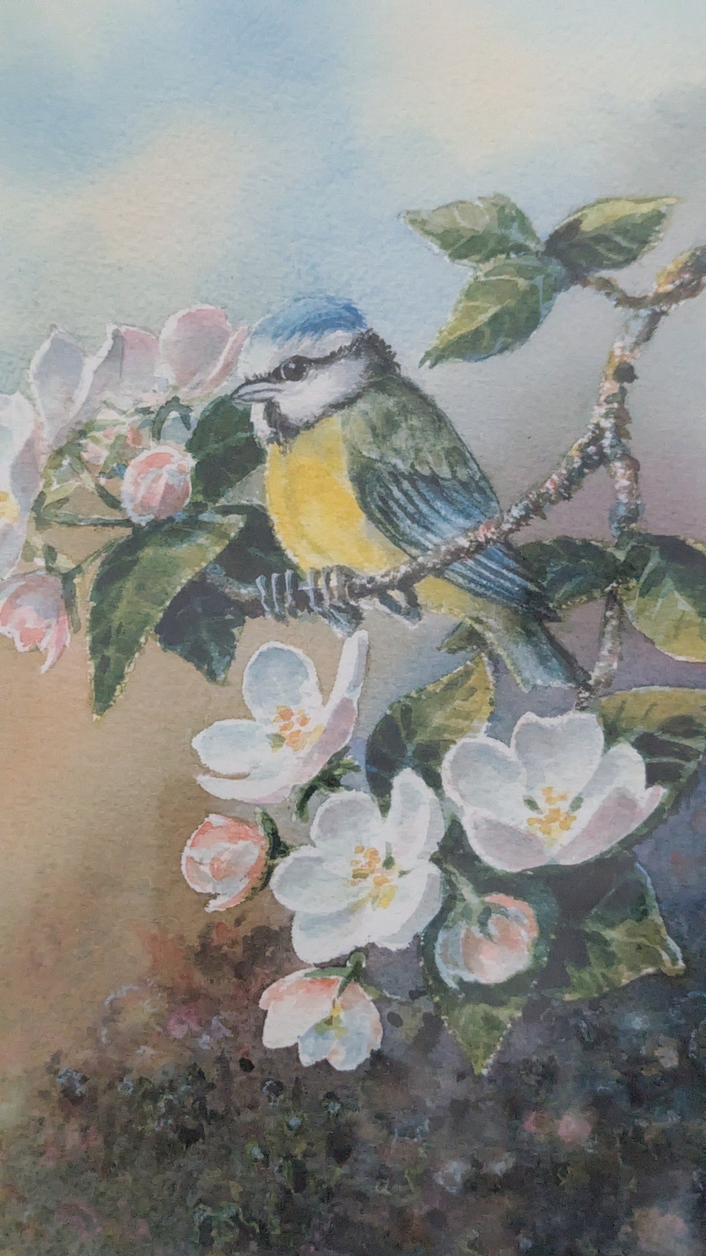 Kimmo Pälikkö - Signeerattu Grafiikka (2003)