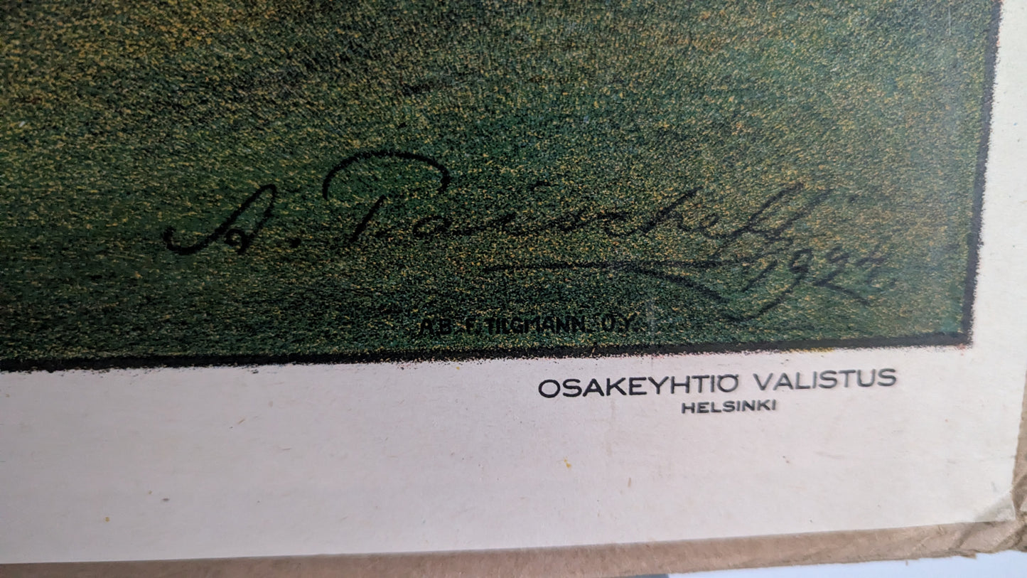 Opetustaulu Koljonvirran Taistelun Muistomerkki Iisalmella (Alexander Paischeff)