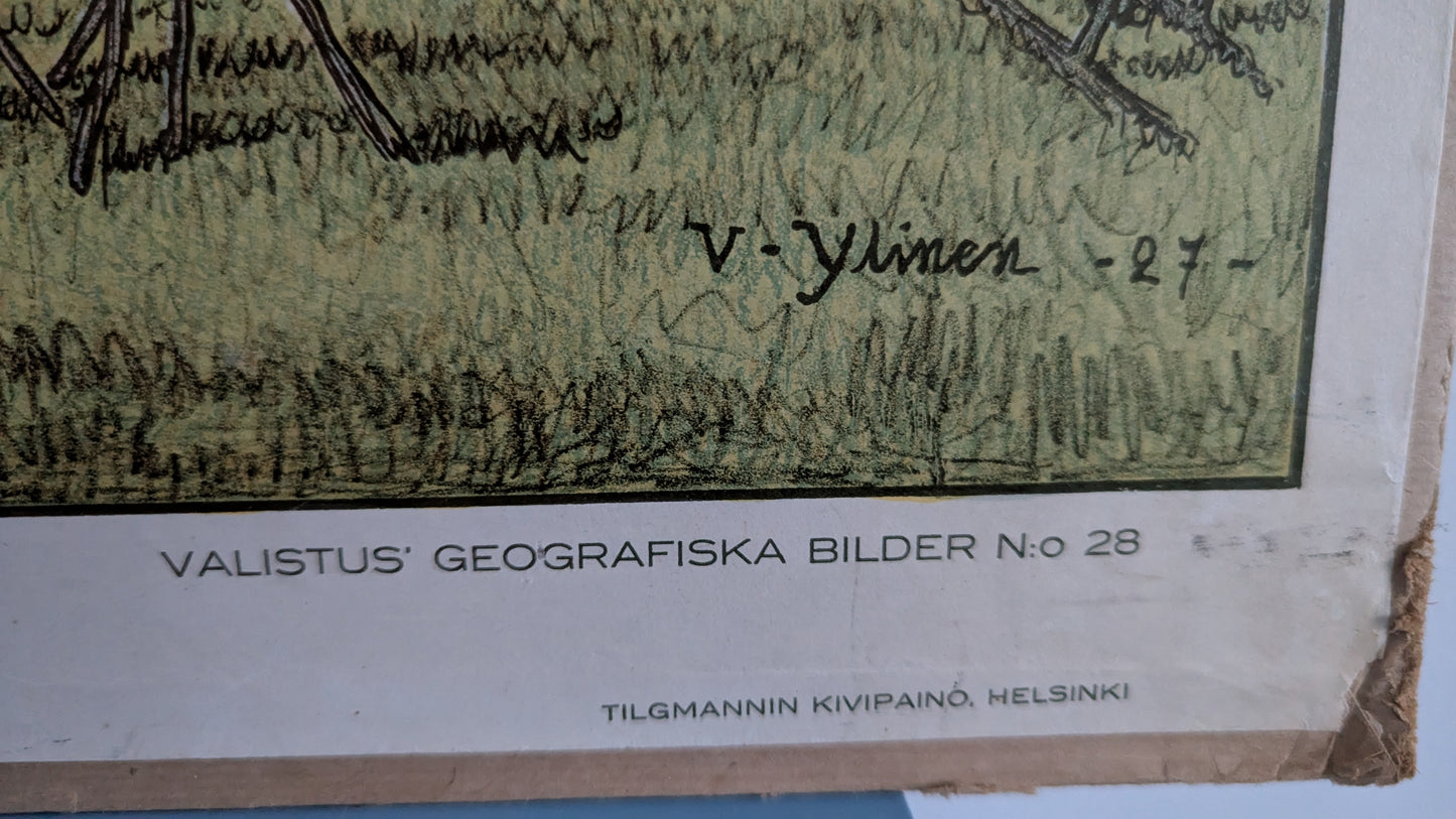 Opetustaulu - Petsamovuonon Perukka (1927, Vihtori Ylinen)