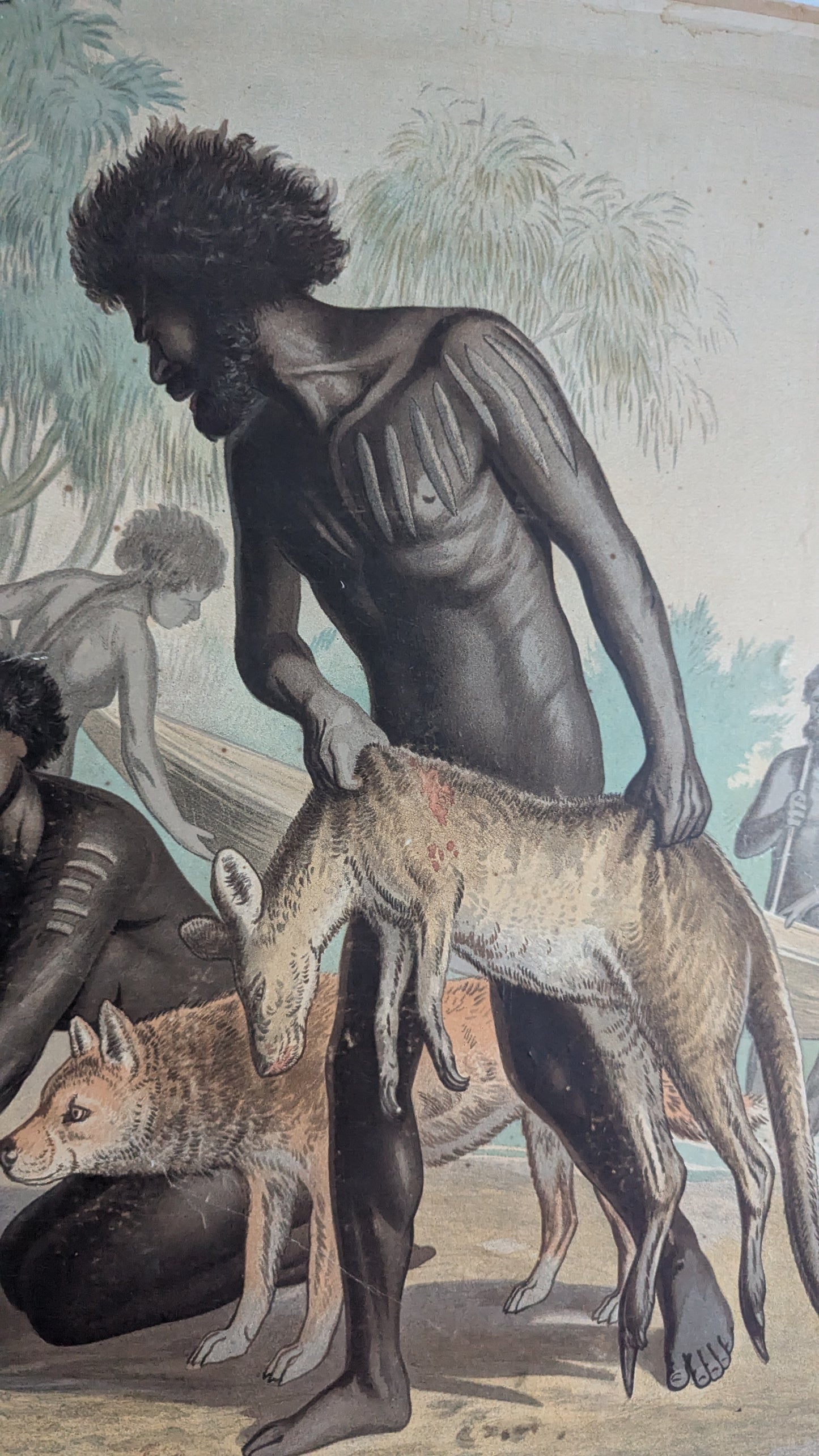 Opetustaulu - Australian Aboriginaalit