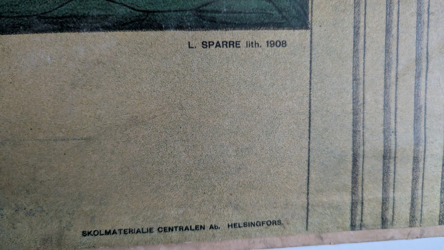 Opetustaulu Turun Yliopiston Vihkijäisjuhla 1640 (Albert Edelfelt / Louis Sparre)