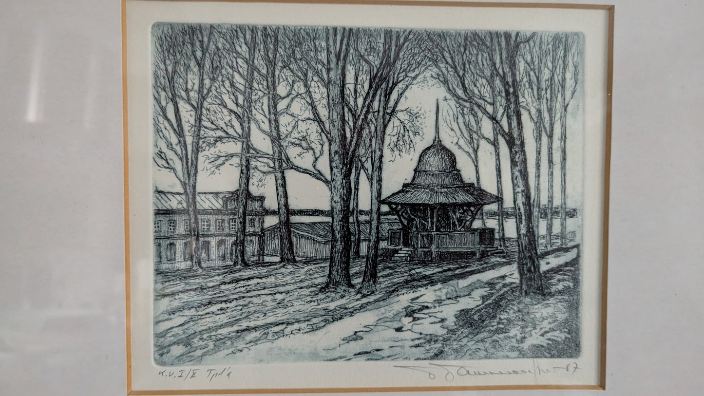 Tapani Tammenpää - Signeerattu Grafiikka (1987, Koevedos)