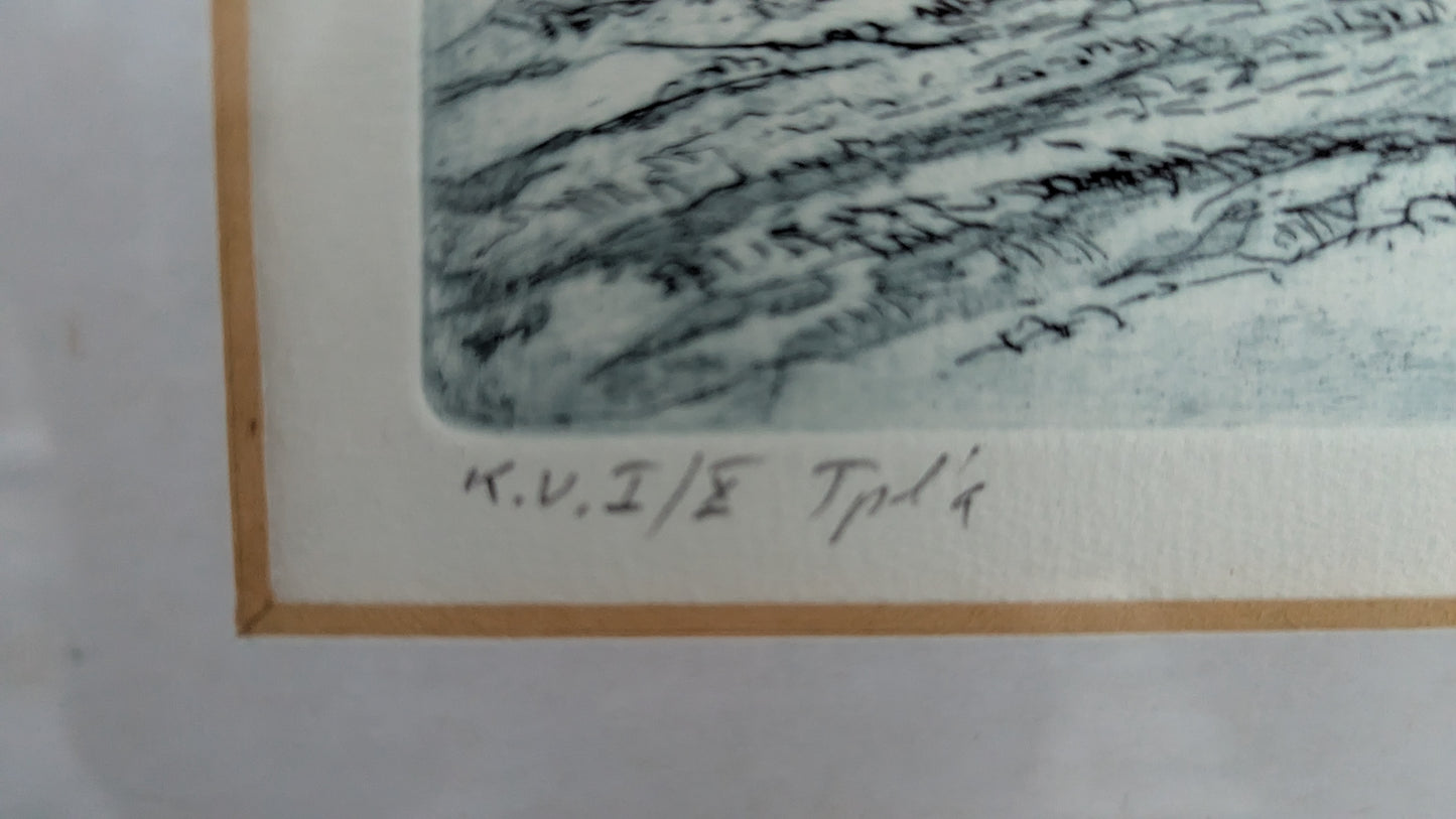 Tapani Tammenpää - Signeerattu Grafiikka (1987, Koevedos)