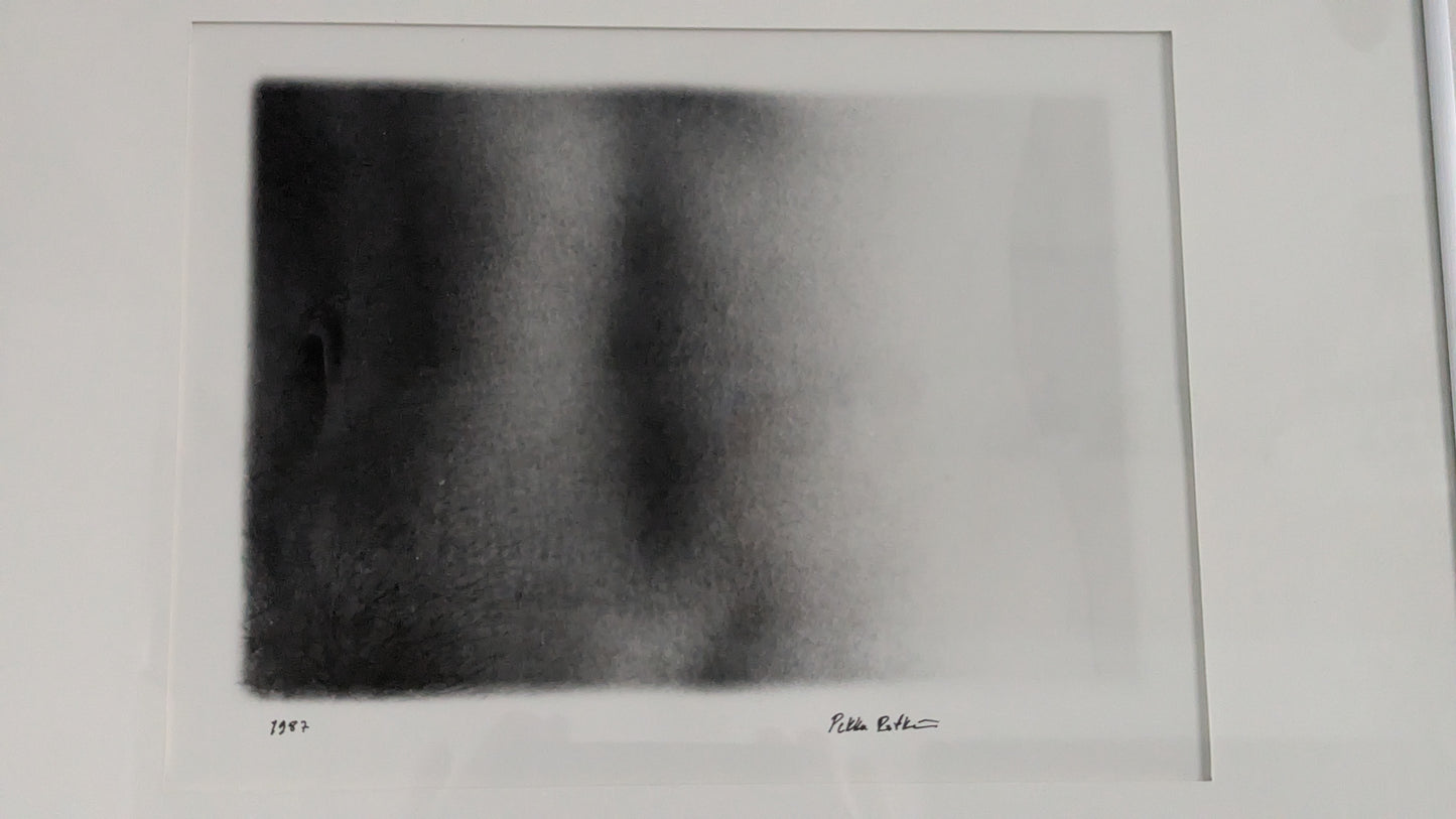 Signeerattu Valokuvateos Vuodelta 1987 (Pekka, Fotogenesis)