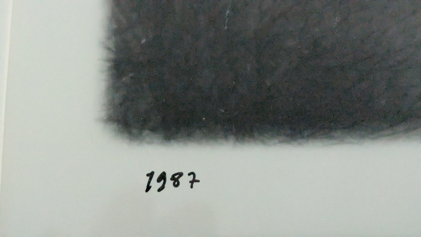 Signeerattu Valokuvateos Vuodelta 1987 (Pekka, Fotogenesis)