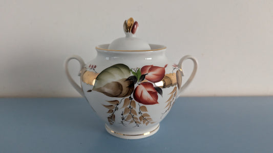 Lomonosov Syyskuu Sokerikko