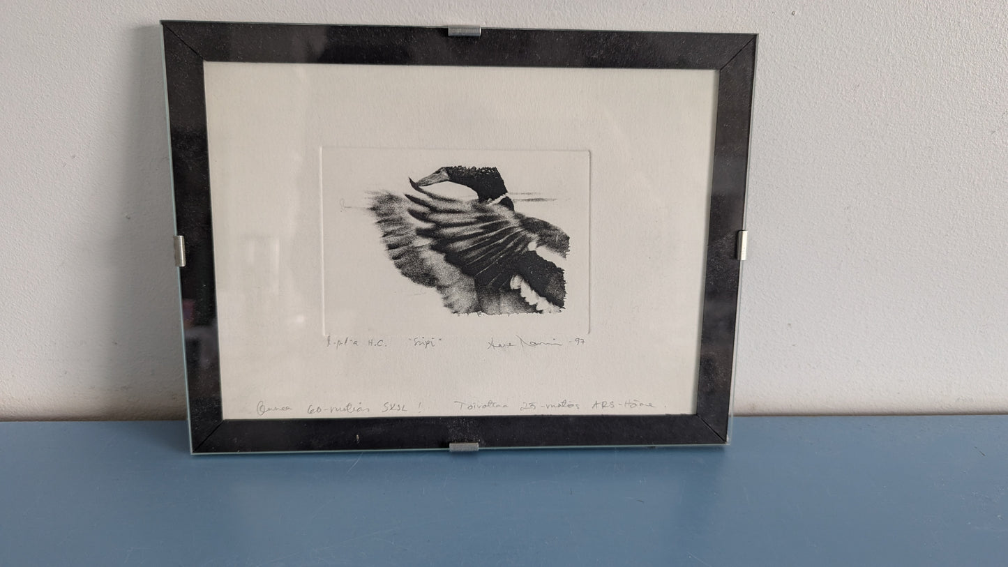 Siipi (Signeerattu Grafiikka 1997)