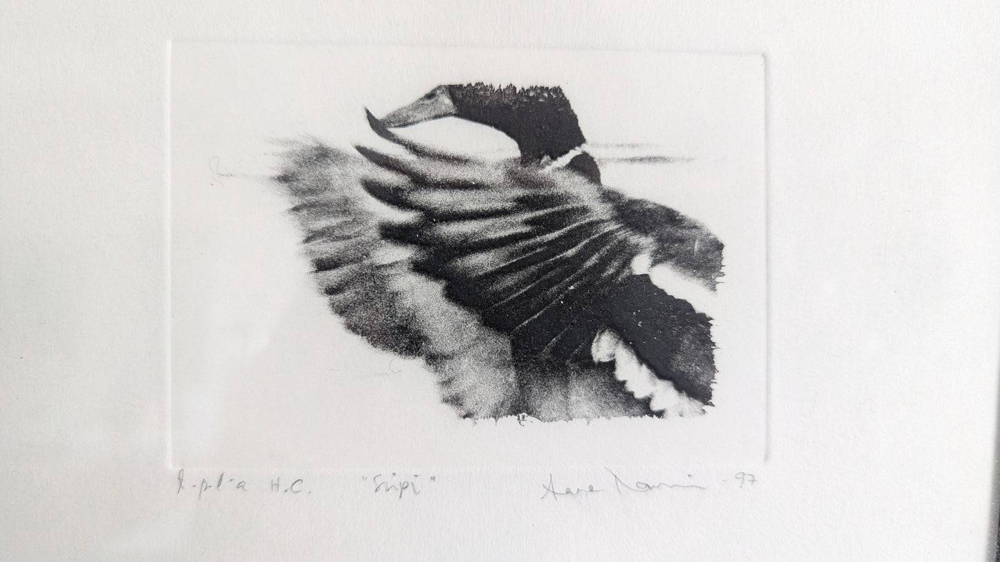 Siipi (Signeerattu Grafiikka 1997)