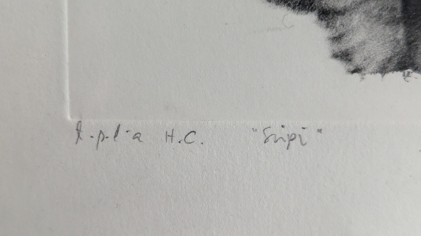 Siipi (Signeerattu Grafiikka 1997)