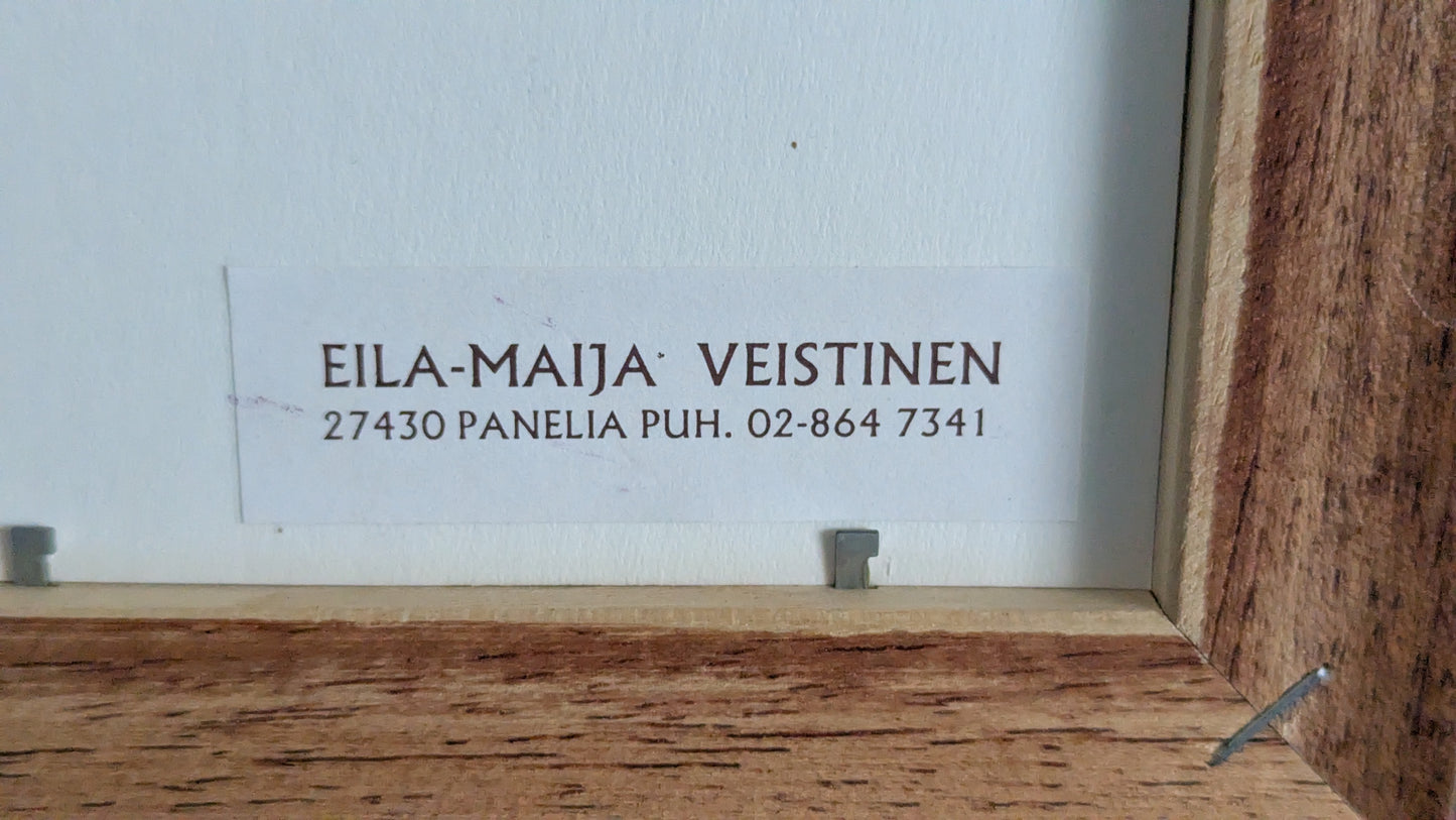 Eila-Maija Veistinen - Omena (Signeerattu Akvarellimaalaus 1999)
