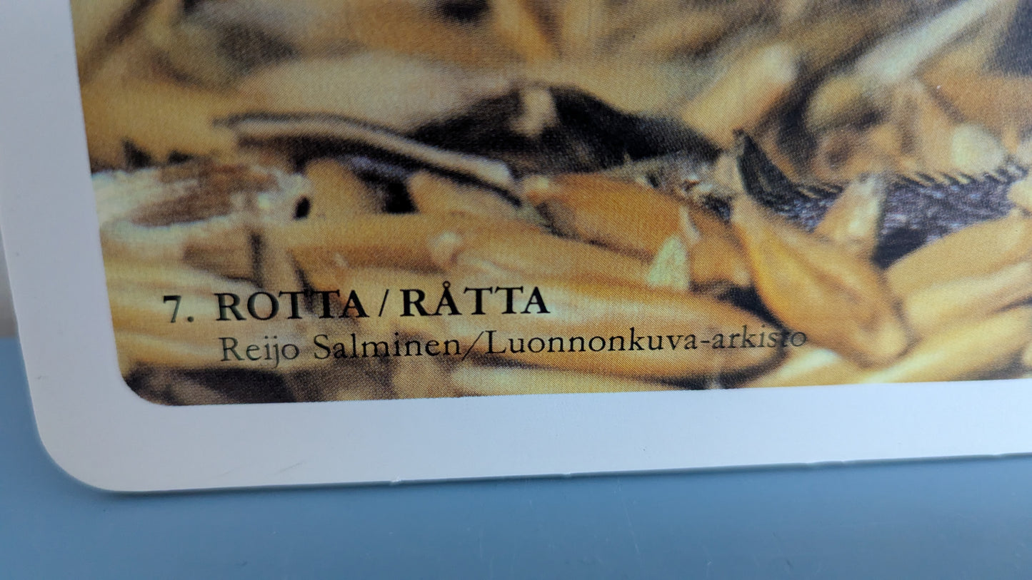 Opetustaulu - Kotihiiri ja Rotta (Caspro Ky)