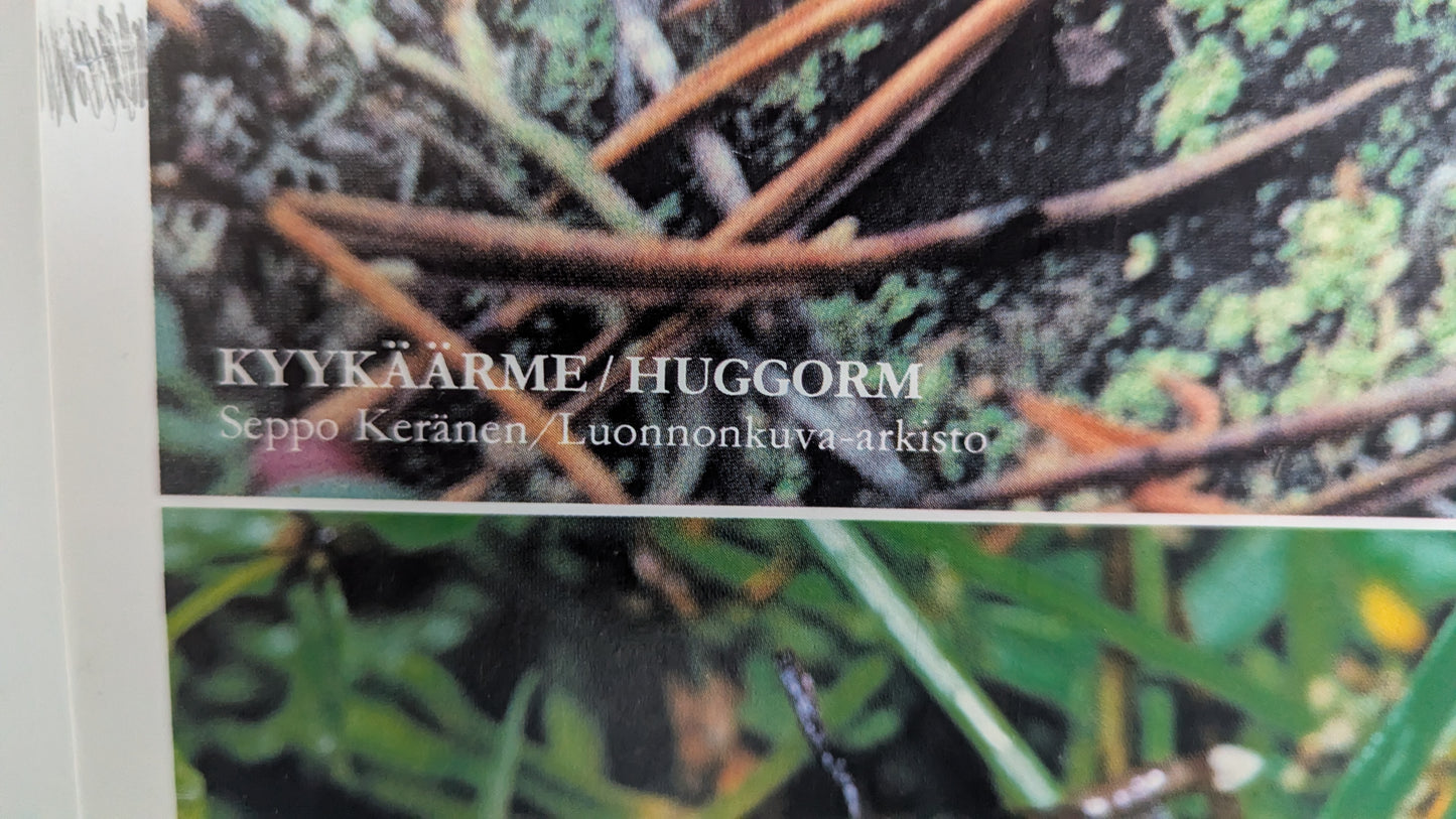 Opetustaulu - Kyykäärme, Sammakko ja Sisilisko (Caspro Ky)