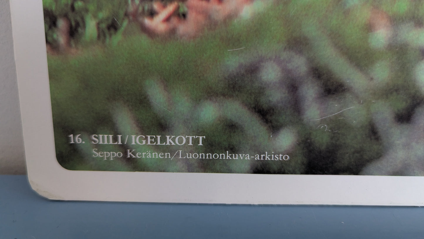 Opetustaulu - Siili (Caspro Ky)