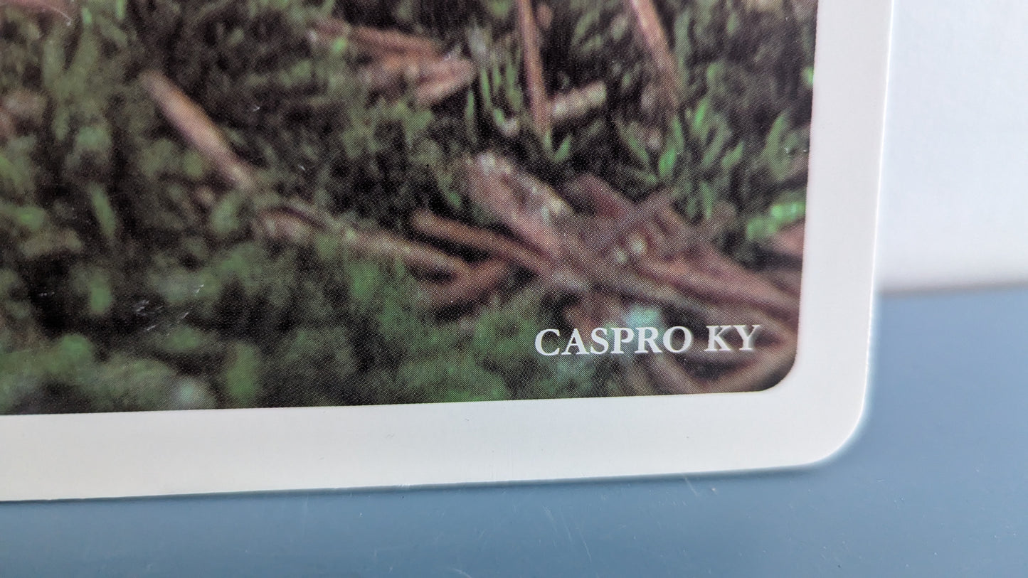 Opetustaulu - Siili (Caspro Ky)