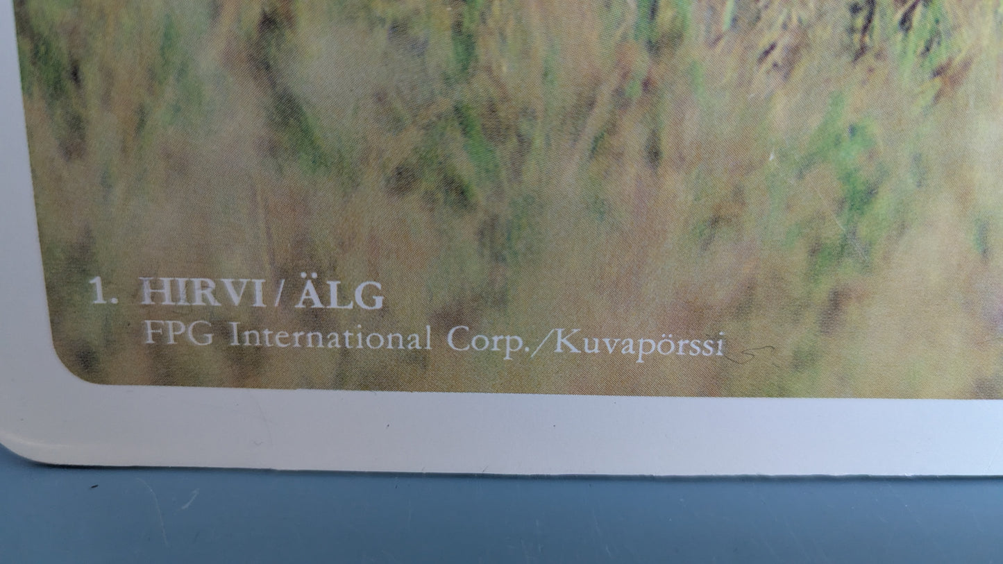Opetustaulu - Hirvi (Caspro Ky)