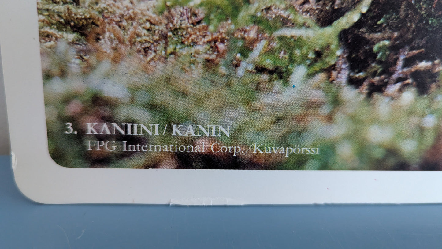 Opetustaulu - Kaniini ja Hamsteri (Caspro Ky)