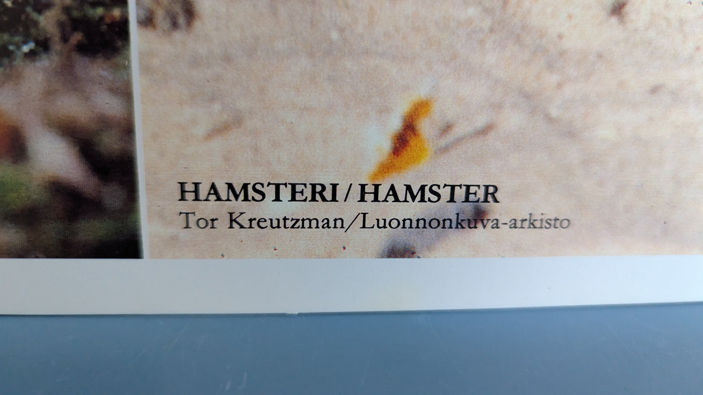 Opetustaulu - Kaniini ja Hamsteri (Caspro Ky)