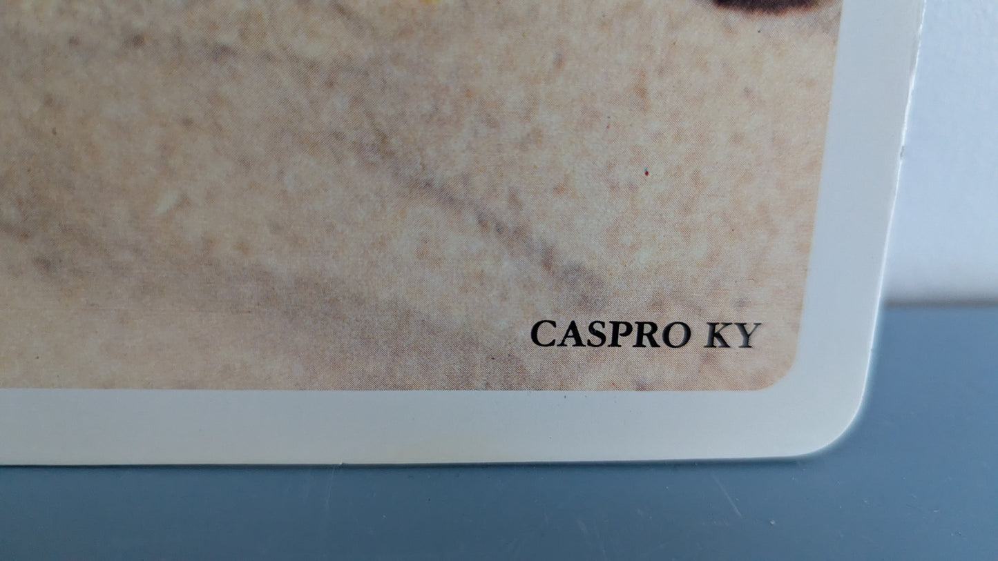 Opetustaulu - Kaniini ja Hamsteri (Caspro Ky)