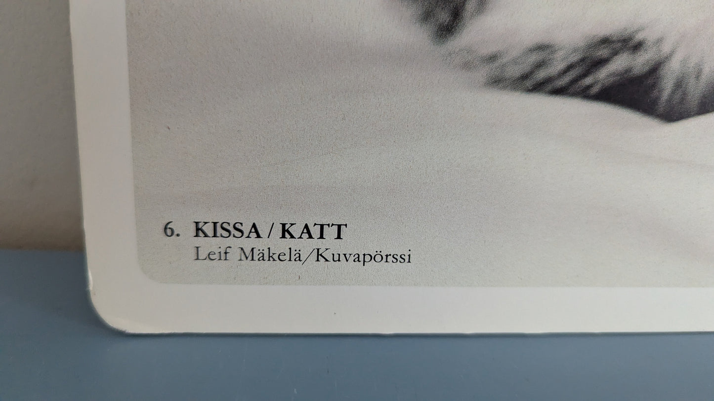 Opetustaulu - Kissa ja Koira (Caspro Ky)