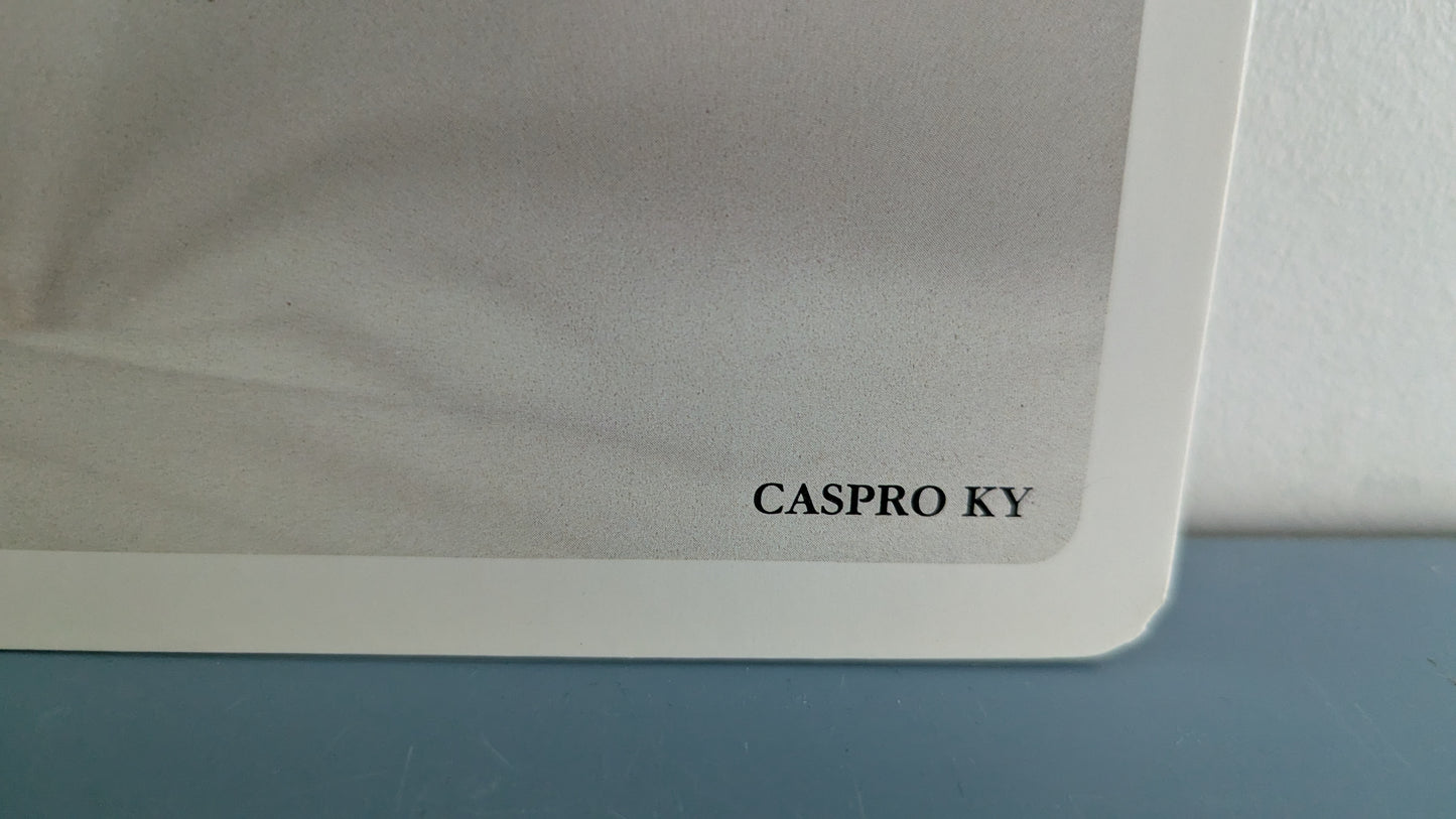Opetustaulu - Kissa ja Koira (Caspro Ky)